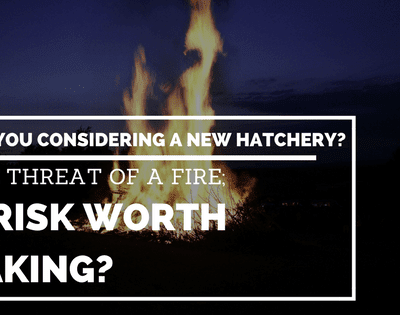 hatchery fire