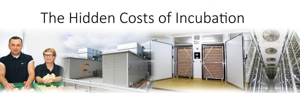 The Hidden Costs of Incubation