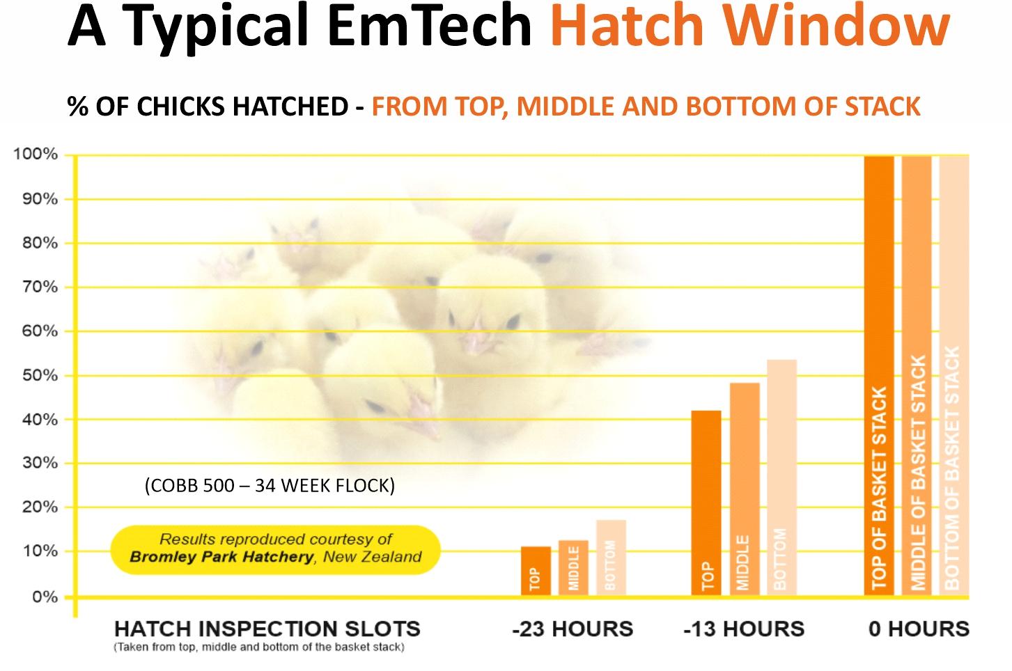 zero-point-six hatch window 1